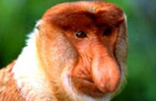 オプショナルツアーイメージ