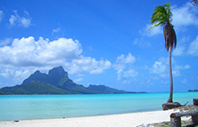 無人島モツピクニックツアー イメージ